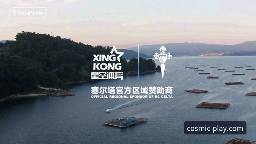 资深体育迷实战分享：星空体育哪个好？我的深度使用心得与平台对比经验